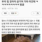 지속력 캡짱쩌는 파데/쿠션 추천 좀