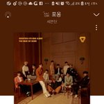 [세븐틴] <b>정한</b>이 실물