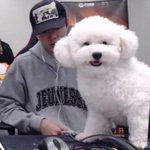 [EXO] 비비 정말정말 크다.....