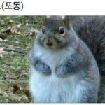 [댓글부탁해] 수능