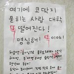 어디서 <b>자작</b>나무 타는 냄새 안나요?