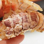 [충격] 비쥬얼이 <b>진입</b>장벽인 해산물
