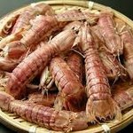 [드루와] 비주얼이 <b>장벽</b>인 해산물