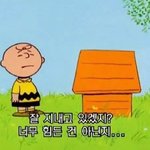 [댓글부탁해] 예비중3인데 고닥<b>교배</b>정 걱정됨