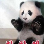 고등학교 어디붙었는지 <b>초성</b>으로 말해보자-0-