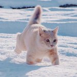 [EXO] 너혼산 시우민 <b>예상</b>샷이래