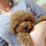 뚱띵해도 사랑해^^