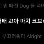 이거 내가 음마낀거임?