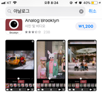 아날로그 추반좀