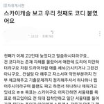[드루와] 스캐 <b>결말</b>이 이럴수밖에 없었던 이유...