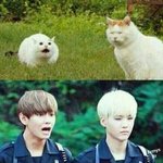 [방탄소년단] 탄이들 <b>동물</b> 닮은