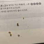 [댓글부탁해] 옛날에 왜 미친년소리 들었는지알겠다