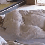 [EXO] <b>장인어른</b>이 주신 술 왕창 먹은 다음날 아침