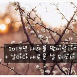 2019년 구정인사말, 궁금하면 오백원 ~