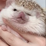 [댓글부탁해] <b>상</b><b>메</b> ㅇㄸ