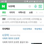 너구리 영어로 <b>라쿤</b>맞는데?