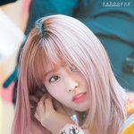 <b>모모</b> ㄹㅇ 귀엽게 이쁘다