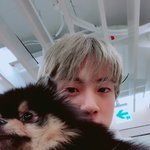 [방탄소년단] <b>연탄</b>이 털과 석진이 머리카락..