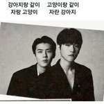 [EXO] ㅋㅋㅋㅋㅋㅋ아놔 개웃
