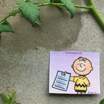 [댓글부탁해] 이런 여자어때?