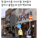 [EXO] 공룡상 종대의 용용 말투 모음 봐라 애교쟁이야