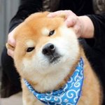 [댓글부탁해] 너네 무슨 <b>요일</b>에 할머니 집 가?