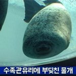 [댓글부탁해] 독도<b>토너</b> 매일 발라도 되는거야?