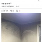 [댓글부탁해] <b>아이즈</b>원 화형식.