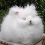 [드루와] 사촌동생이 렌즈에 <b>본드</b>넣고 반품하려했음,,