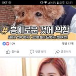 혈액형은 이래서 다 사기임