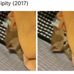 [방탄공카방] 이거 <b>지민</b>이 세렌뮤비래ㅋㅋㅋㅋ