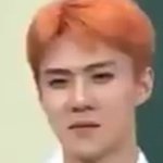 [EXO] 다 시골 갔냐