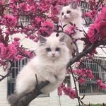 [드루와] 현재 이쁜이들 수 ‮ ‮명