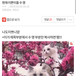 이글<b>뭔</b><b>소리</b>야??