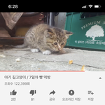 [드루와] 고양이 먹을때마다 <b>낭</b>낭낭낭 거림 ㅠㅠㅠㅠㅠㅠ