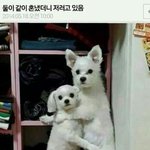 [드루와] <b>믹스</b>나인 남자조 우리집 보다가 홍콩감