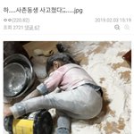 [드루와] 명절 시작 <b>대참사</b>.jpg