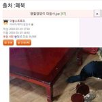 [모두드루와] 명절 댕댕이 <b>대참사</b>