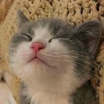 오빵 벌써 10<b>시당</b>!