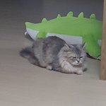 [NCT] +)+사진 더 추가했엉)나 믐뭔봄 안<b>올</b>때 심정이