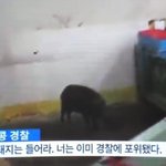여기 한남 빻남 조카 많아ㅋㅋㅋㅋㅋ