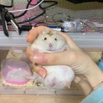 [댓글부탁해] 나 남친이랑 슬슬 <b>권태기</b> 오는거 같다 ㅋ..