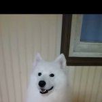 나 지금 완벽한 <b>타인</b>보는데