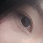 쌍수 10주년 기념 <b>뻘글</b>