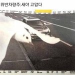 애들아 팝핑1<b>보바</b>는 뭐랑 먹음??
