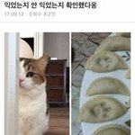 [드루와] 너네 2020년에 63빌딩 무너지는 거 아냐?