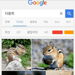 [모두드루와] 다람쥐와 <b>람</b>쥐의 차이 ㅋㅋㅋㅋ