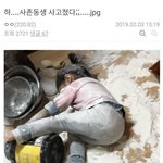 [댓글부탁해] <b>헬스</b>갤 명절 시작 대참사.jpg