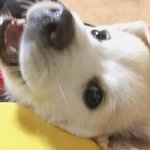 [모두드루와] 짱<b>절미</b> 처음보는 사진들