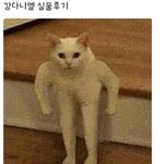 [댓글부탁해] 앞머리인들아 너네 미니고데기 뭐써